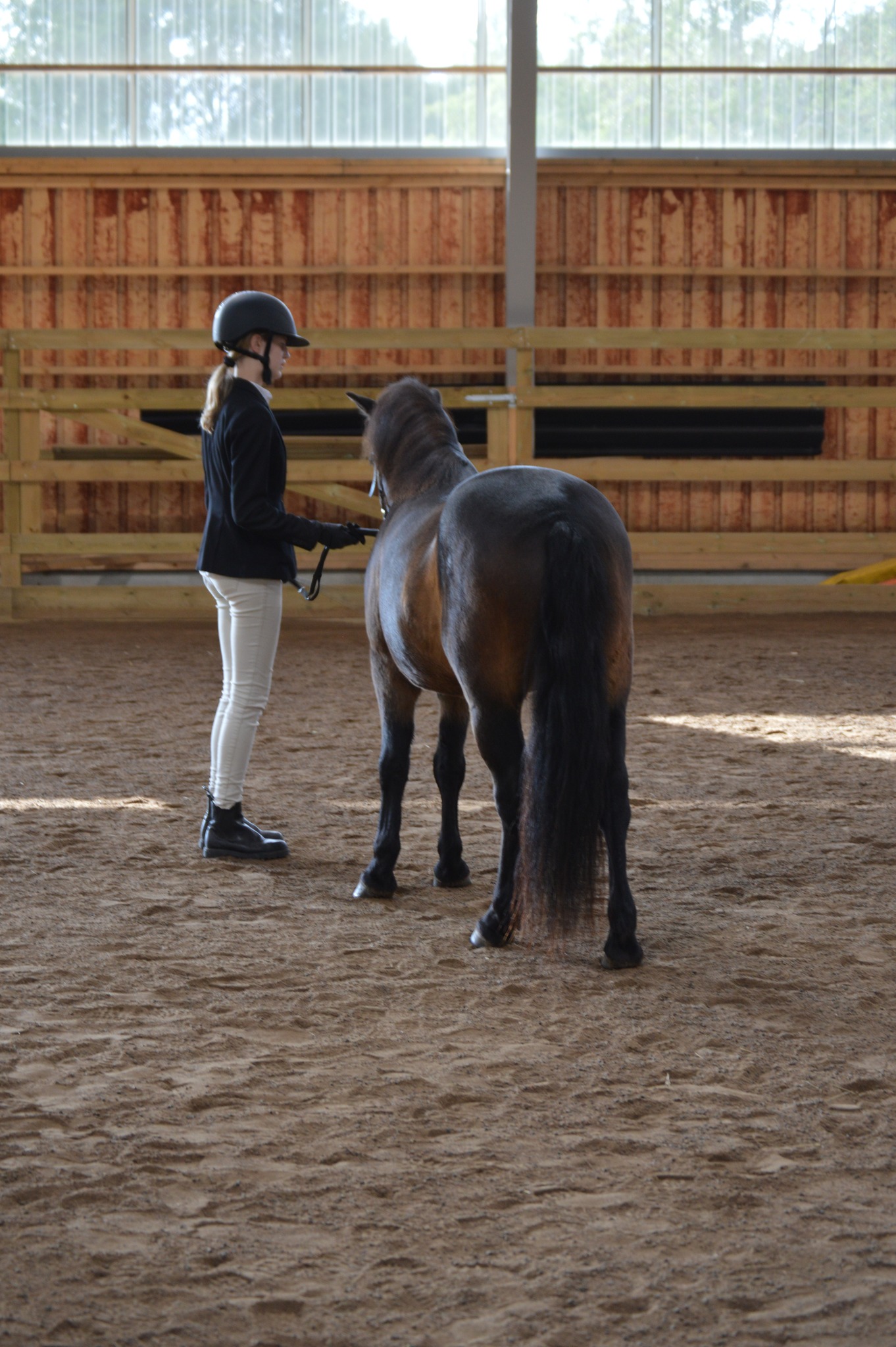 Young Handler 3