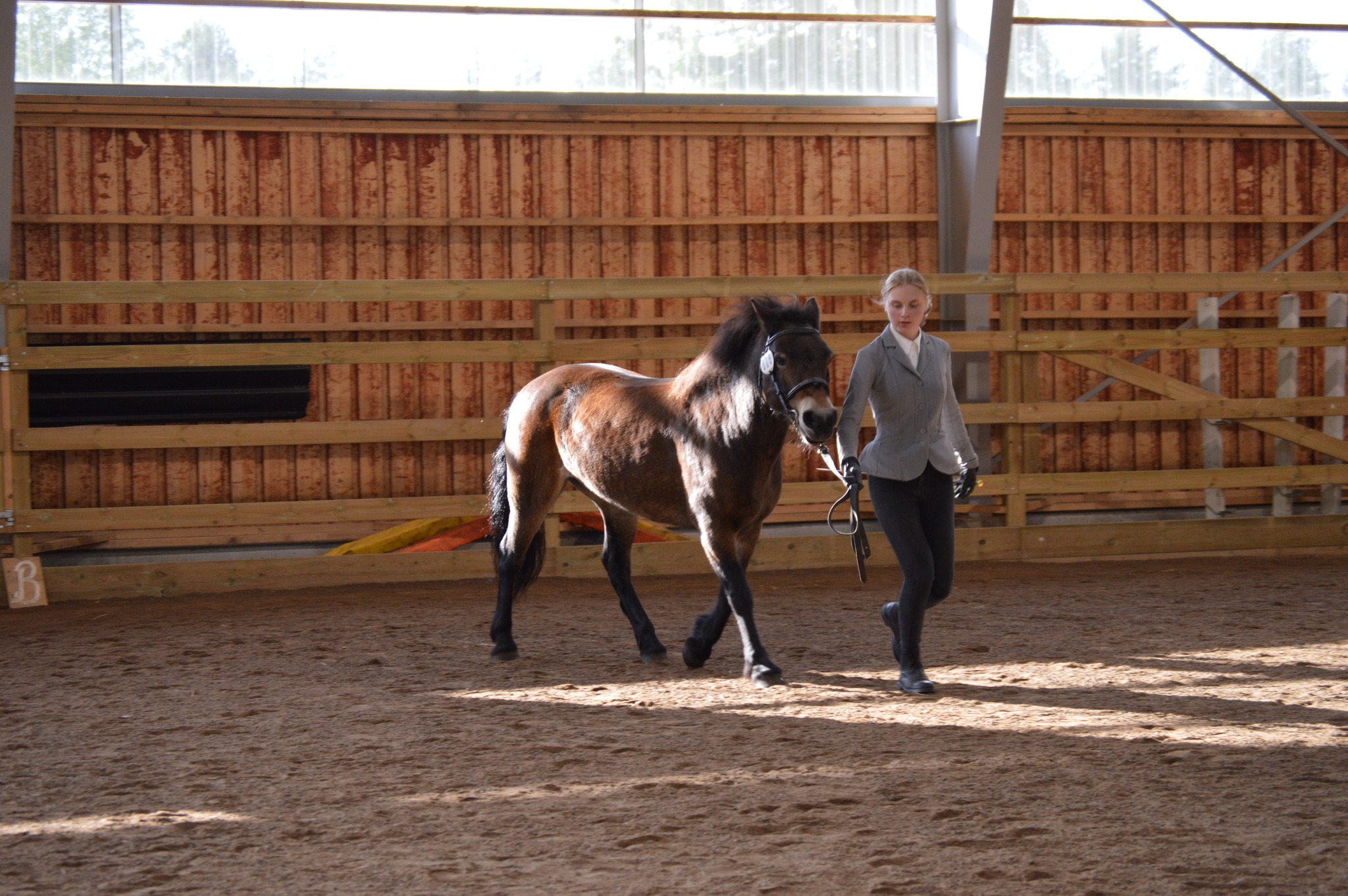 Young Handler 5