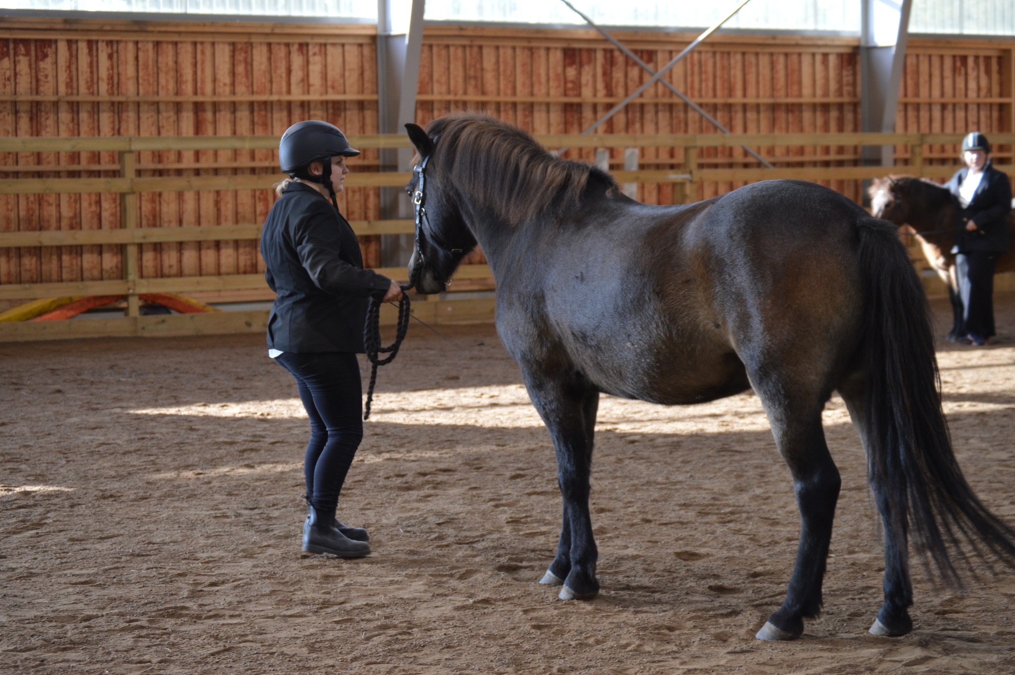 Young Handler 6