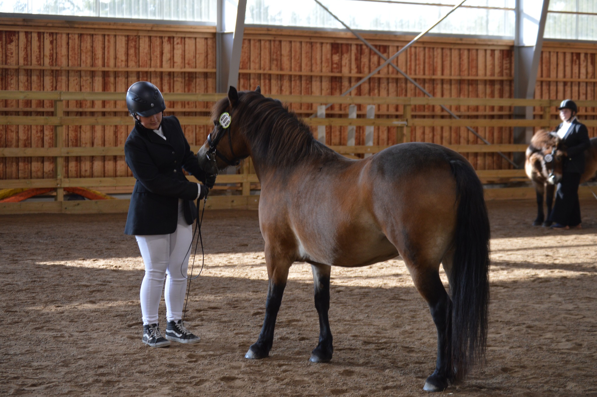 Young Handler 7